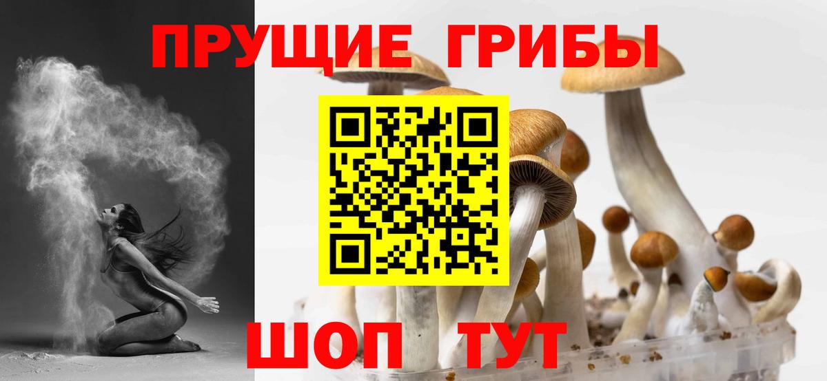 Псилоцибиновые грибы Magic Shrooms Красногорск